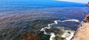 Marea roja tóxica en costa salvadoreña