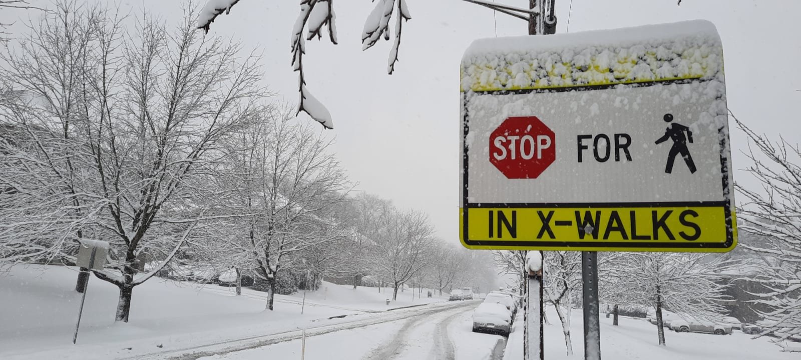 Cierres generalizados en zonas de Estados Unidos por tiempo invernal