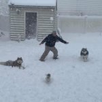 Primera nevada del año en varias zonas de Estados Unidos